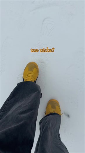 Choosing the Right Snow Shoes for Winter Adventures