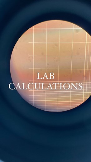 Sarah Battersby | 3rd Year PhD candidate on Instagram: "Yes the simple concentration calculations ALWAYS get me 🙃😫 c1v1 = c2v2 is my greatest nightmare 😪 why can’t things just already be at the concentration I need them at? Who can relate? #phd #phdmemes #phdreels #reels #meme #math #equation #calculation #phdlife #phdstudent #phdproblems #phdstudentlife #science #biology #lab #labmemes #labwork #biologymemes #biologystudent #biologylab #sciencelab #sciencelife #studentlife #expectationvsreal