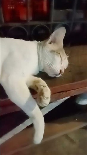 Hector's death sound