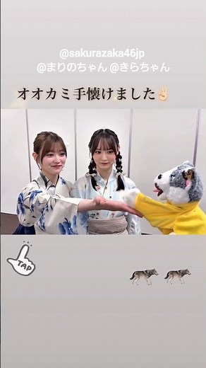 幸阪茉里乃 増本綺良 オオカミと戯れる浴衣きらまり♪Instagram 櫻坂46