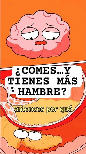 Comes y tienes más hambre 😨🩸 El ciclo de la glucosa, la insulina y el cerebro #glucosa #insulina