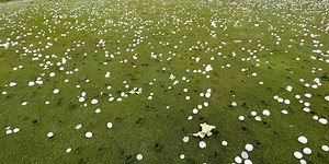 Golf ball-sized hail causes damage to Livingston County golf course
