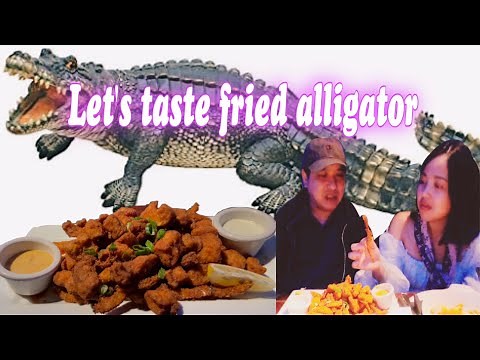 Aquarium Restaurant || An Underwater Dining Adventure || Houston Texas