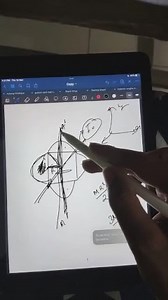 lamina about the tangent \mathrm{AB} in the plane of lamina is ... | Filo