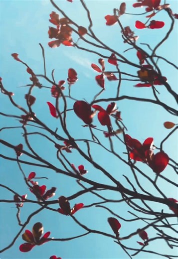 Follow me on Instagram: @odd.sti_blobeye #SUBARU #GDB #GDA #S203 #STI #IMPREZA #imprezawrx #WRXSTI #EJ20 #EJ25 #SUBIE #blobeye #jdm