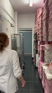 381K views · 10K reactions | A day in the life of a bakery owner in her brand new production kitchen ~ with our growing team of bakers! 凉 #bakerylife #bakeryowner #dayinmylife #smallbusinessowner #fyp | Brooki Bakehouse | Facebook