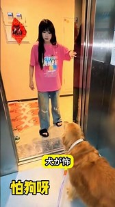 座れば噛まないの？