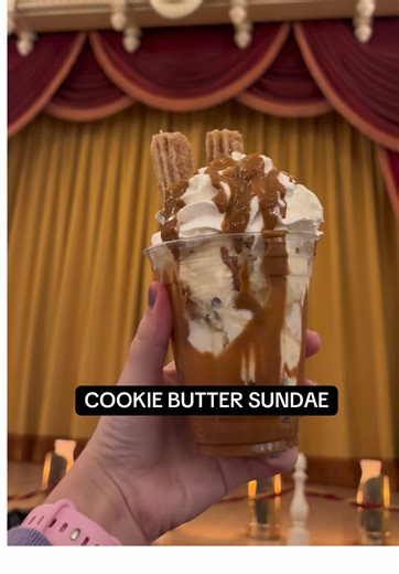 Delicious Cookie Butter Sundae at Disneyland