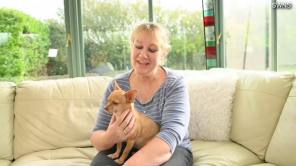 Dog owner sell her car to pay life-saving surgery for her chihuahua