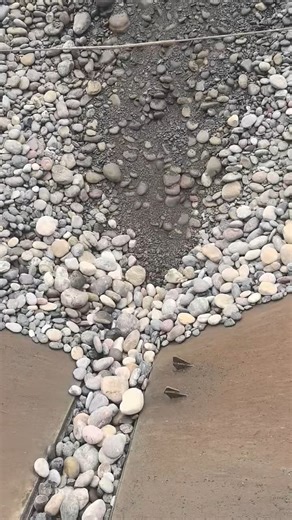 Barge unloading | USA Machines Channel