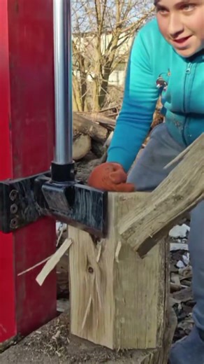 Best Log Splitter #firewood #woodwork #splitter
