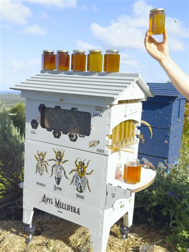 Live Beekeeping Q&A with Cedar | Bee Education