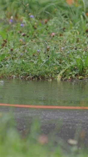 🎬 Behind the scenes mit @patrick.feurstein Bevor es nächste Woche in Sölden losgeht, haben wir ihn diesen Sommer in seiner Heimat im Bregenzerwald besucht. ⛰️ Ein Blick hinter die Kulissen – stay tuned! 👀🔥 #skiaustria | Ski Austria Alpin