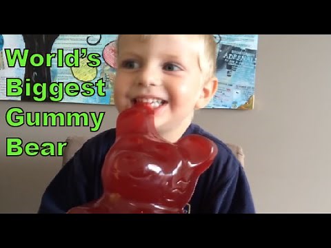 Kid eats World's Biggest Gummy Bear, Vat19!