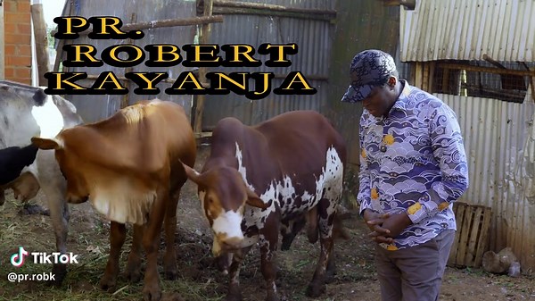 Trust in God's Provision for Drought-Resistant Farming