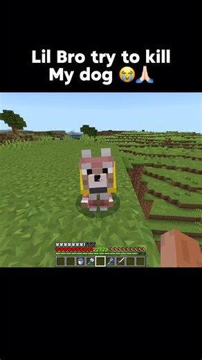 Mc Modez on Instagram: "Lil bro try to kill my dog 😭🙏🏻"