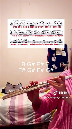 Morning Mood by Edvard Grieg Flute Tutorial