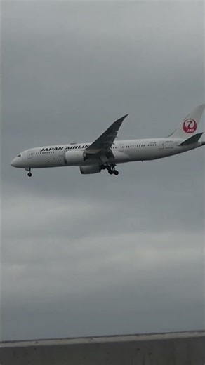 JALのB-787(JA848J)羽田空港着陸#b787 #planespotting