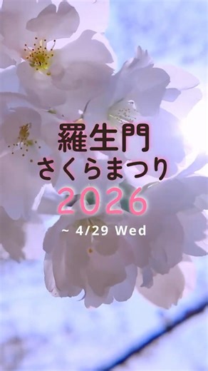 🌸どこまでも続く、春のトンネル「羅生門さくらまつり」📌羅生門さくら公園 #岡山観光#春の絶景#桜スポット#花見スポット#フォトコンテスト