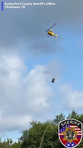 Ed the zebra was finally captured and taken to safety after being on the loose for more than a week in Tennessee! #zebra #captured #tennessee | Story: kwch.com/2025/06/09/he-is-safe-missing-zebra-caught-over-week-after-escaping | KWCH 12 News