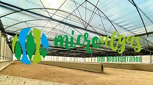 Participa en el Crowdfunding "Cría de espirulina artesanal con recuperación de agua y nutrientes" en Verkami