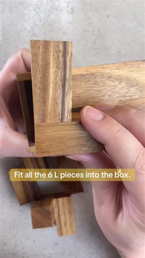PuzzleMaster on Instagram: "Just because there is an L shape cutout it doesn’t mean the pieces will fit perfectly through it. Fit all 6 Puzzle pieces into the box. #puzzlesolving #puzzlegame #puzzle #puzzlemaster #puzzlechallenge"