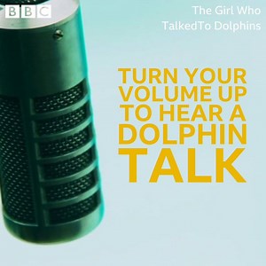 Scientists believed that talking to dolphins was the key to being able to communicate with alien life. | BBC Cymru Wales