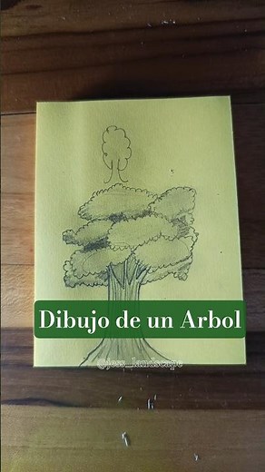 Como Dibujar Arboles paso a paso ✨🌲