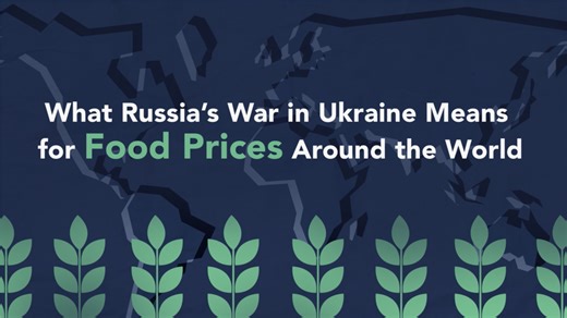 The Impact of the Russian Invasion on Food Prices Around the World