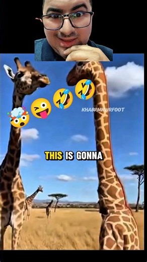 Giraffe gets the shock of her life! 😱🦒 #shorts #reaction #prank
