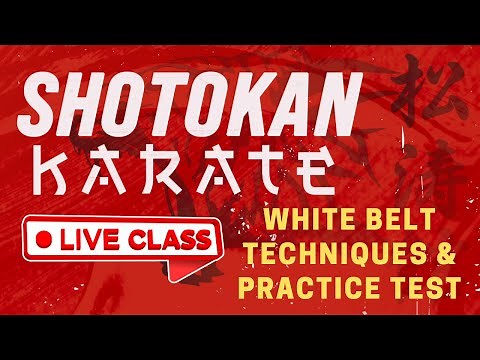 GMAU Shotokan Karate LIVE | White Belt Techniques & Practice Test