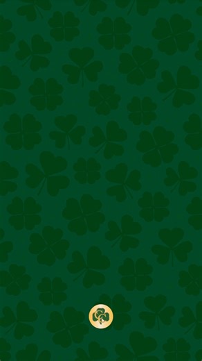 More Than a School. It’s a Family. 💚☘️ For nearly 100 years, Catholic Central has inspired students to learn with purpose, lead with faith, and serve with heart. Rooted in Catholic values and a strong academic tradition, we’re more than a school. We’re a family dedicated to forming leaders who make a difference. Discover why generations have trusted Catholic Central to educate both the mind and the soul. 💛💚 #GoIrish #CatholicCentral #CatholicCentralSpringfield #SpringfieldOH #CatholicSchool #