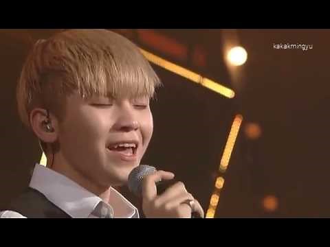 Seventeen Shining Diamonds Concert - Simple