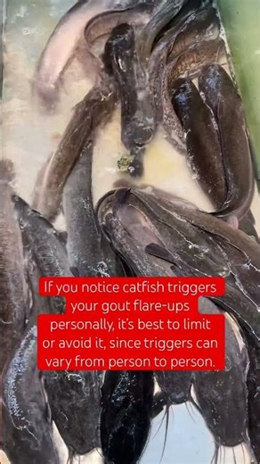 Safer in small portions: grilled, baked, or steamed catfish #purines #goutprevention