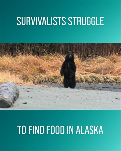 After encountering a bear mere metres away from their tent, survivalists Jeff and Elizabeth struggle to find food in the Alaskan wilderness. #AlaskaSurvivingTheLastFrontier Watch full episodes on discovery : https://bit.ly/3HfHr6e | Love Adventure