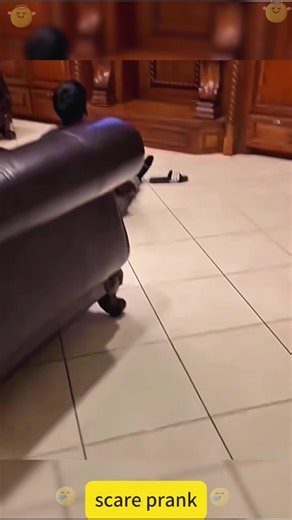 Funny prank#tiktok #foryou #funny #fyp #prank | police coming to get kids prank