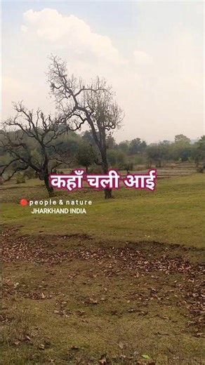 🎸 Evergreen bollywood song by Mukesh