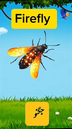 Insects Names Part 2: Learn Insect Vocabulary for Kids