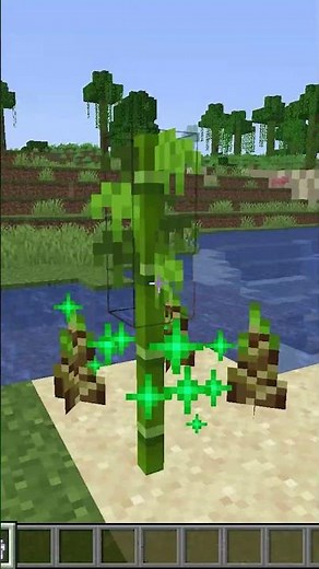java vs Bedrock | BIG Differences You Need to Know! ‪@Bubuplayz‬