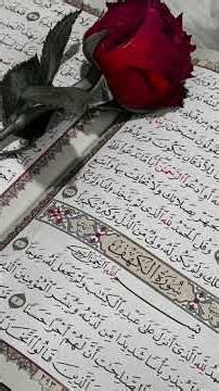 Quran Para 04 Urdu Tarjuma#QuranTarjuma #Para4 #UrduTranslation #QuranTranslation #Islam #LanTanaLu
