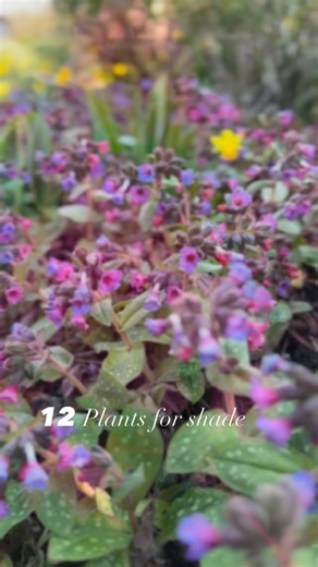 Farmer Gracy on Reels