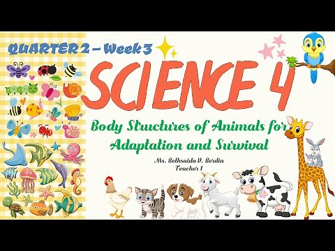 Body Structures of Animals for Adaptation and Survival