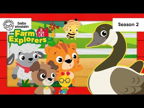 NEW! Rhythm with Geese! | Farm Explorers SEASON 2! | Baby Einstein | Educational Cartoon