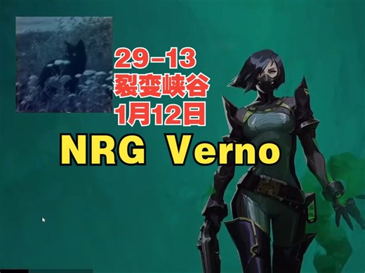 【NRG Verno】蝰蛇viper第一视角29杀-13裂变峡谷Fracture天漠之峡@1月12日VALORANT无畏契约