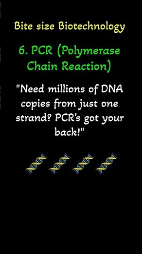 PCR Explained: Amplifying DNA in Minutes