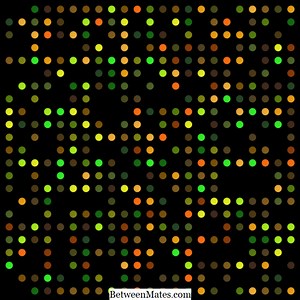 マイクロアレイと次世代シーケンシングの違い|マイクロアレイ対次世代シーケンシング - 科学と自然 2026