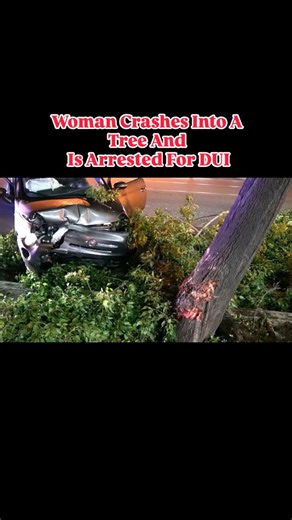 Beefy News on Instagram: "FULLERTON, CA — January 7, 2026 (1:00 a.m.) A woman driving a Fiat southbound on Harbor Boulevard crashed at the intersection of S Harbor Blvd and W Valencia Dr early Wednesday morning. The vehicle veered to the right, struck a street sign, and then slammed into a tree, causing the tree to break. The woman was arrested for DUI. No other vehicles were involved, and no injuries were reported."