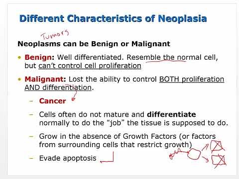 Pathophysiology of Cancer
