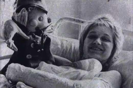 Flight Attendant Survived 33,000ft Fall Without Parachute After Plane Exploded