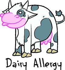 Dairy: The Tolerance Test. | elephant journal